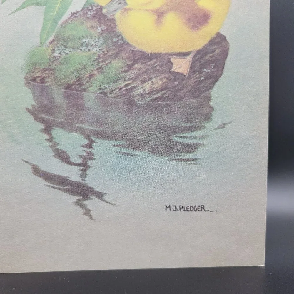 M.J. Pledger Greeting Card Ducklings in Pond Friendship‎ Unused